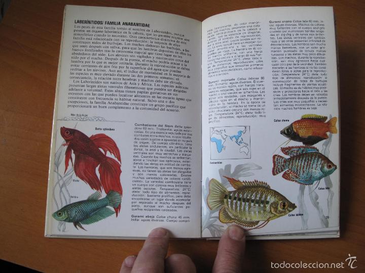 Libros de segunda mano: LOS PECES DE ACUARIO.- DICK MILLS.- EDITORIAL FONTALBA. - Foto 3