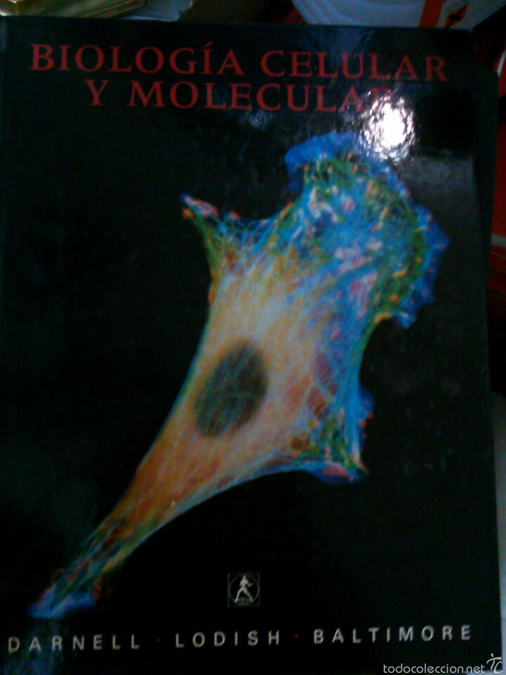 Libros de segunda mano: Biologia celular y molecular .Darnell. Lodish. Baltimore - Foto 1