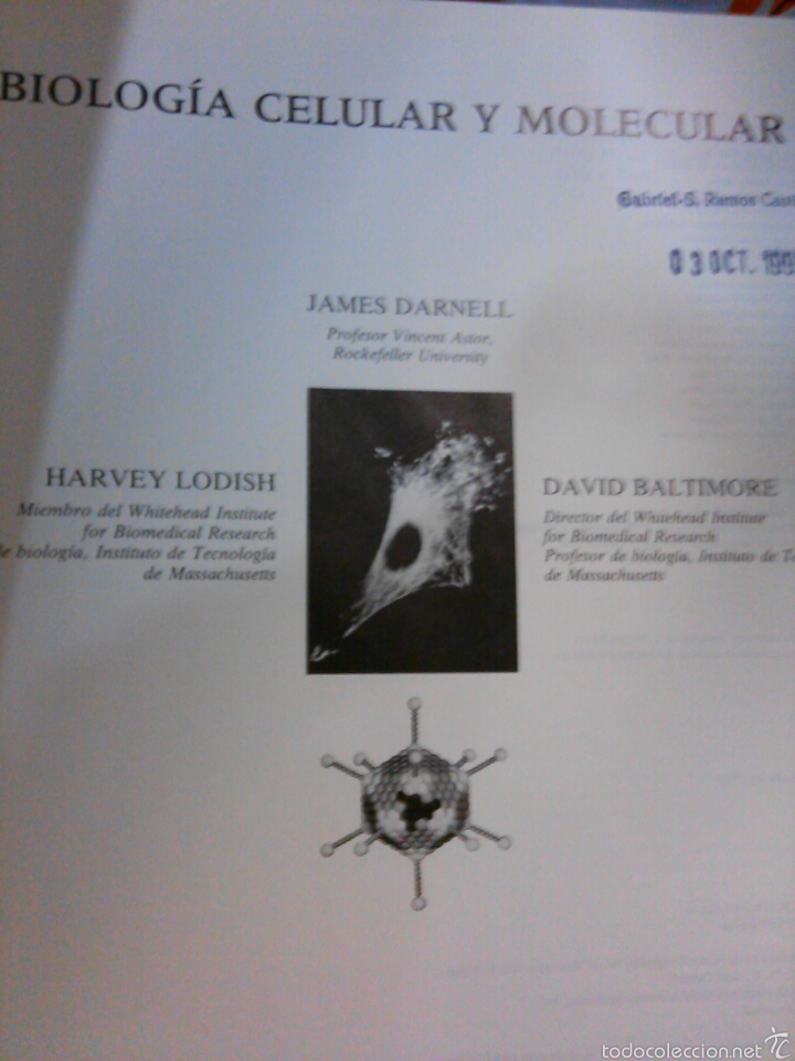 Libros de segunda mano: Biologia celular y molecular .Darnell. Lodish. Baltimore - Foto 2