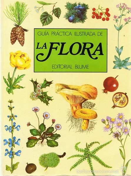 Libros de segunda mano: GU&Iacute;A PR&Aacute;CTICA ILUSTRADA DE LA FLORA - Foto 1