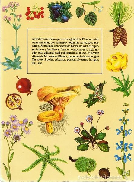 Libros de segunda mano: GU&Iacute;A PR&Aacute;CTICA ILUSTRADA DE LA FLORA - Foto 2