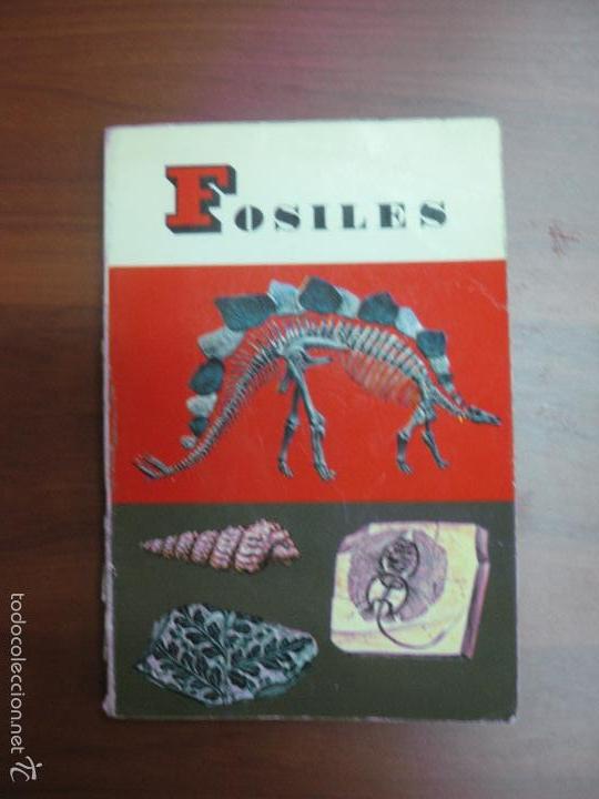 Libros de segunda mano: FOSILES. PEQUE&Ntilde;A BIBLIOTECA DAIMON. 1970 - Foto 1