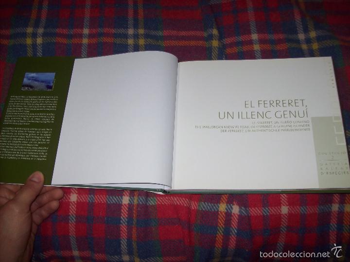 Libros de segunda mano: EL FERRERET,UN ISLEÑO GENUINO. GALERIA BALEAR DESPÈCIES,Nº 2. 2005. MALLORCA - Foto 3 - 57717463