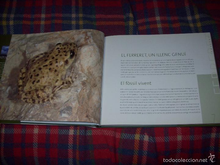 Libros de segunda mano: EL FERRERET,UN ISLEÑO GENUINO. GALERIA BALEAR DESPÈCIES,Nº 2. 2005. MALLORCA - Foto 6 - 57717463