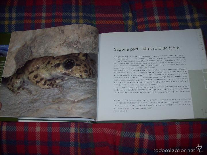 Libros de segunda mano: EL FERRERET,UN ISLEÑO GENUINO. GALERIA BALEAR DESPÈCIES,Nº 2. 2005. MALLORCA - Foto 7 - 57717463
