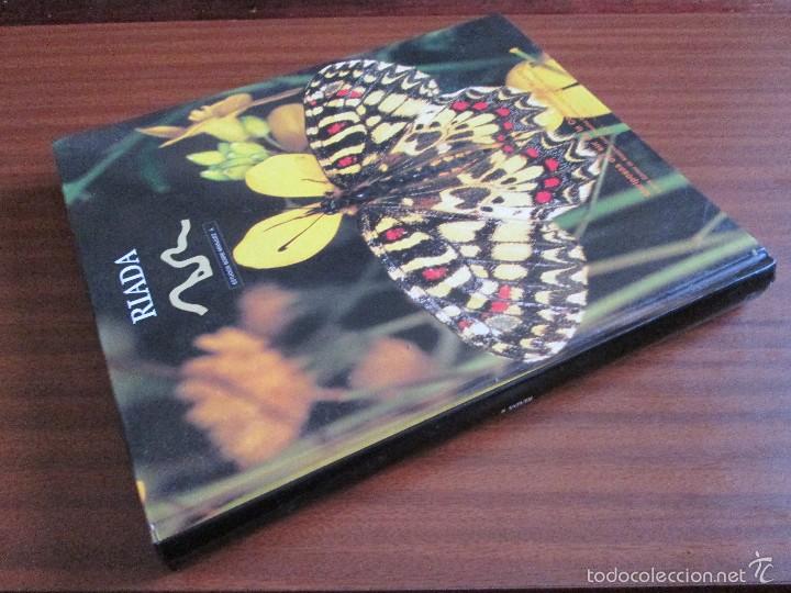 Libros de segunda mano: Mariposas del Sur de la Comunidad de Madrid - Foto 2