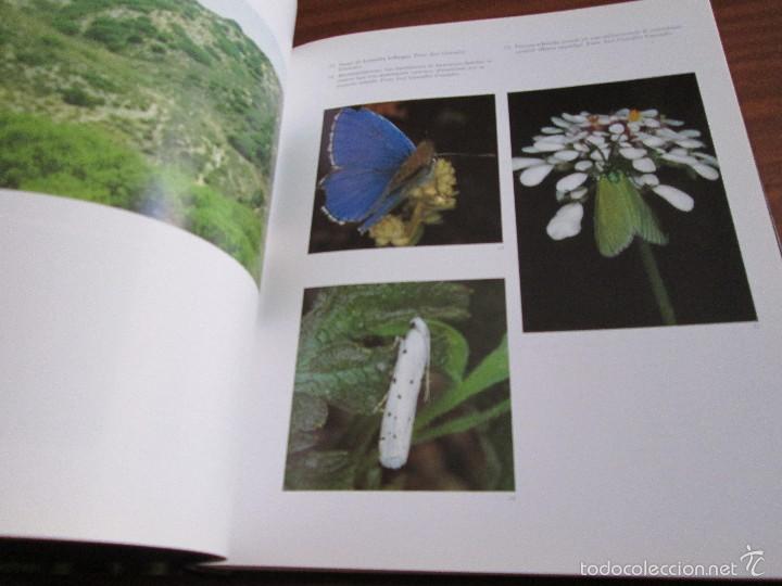 Libros de segunda mano: Mariposas del Sur de la Comunidad de Madrid - Foto 7