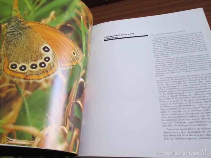 Libros de segunda mano: Mariposas del Sur de la Comunidad de Madrid - Foto 8