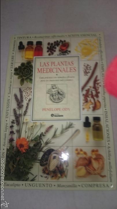 Libros de segunda mano: Las plantas medicinales Pensione Odi - Foto 1