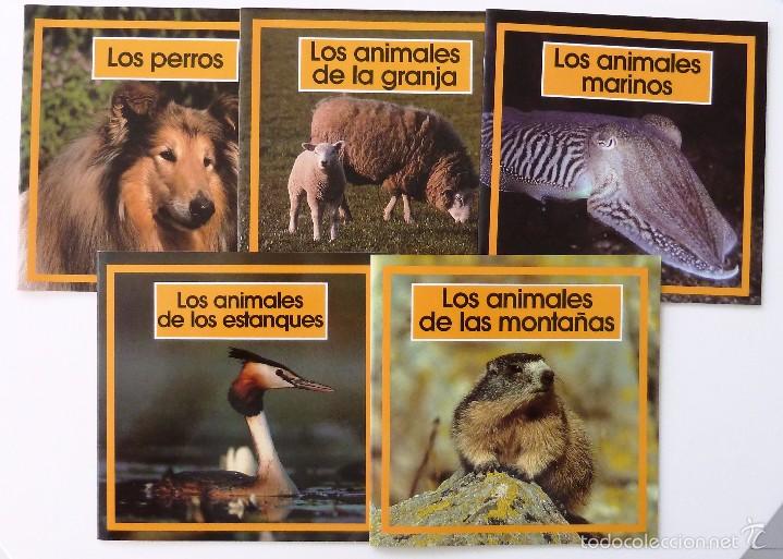 Libros de segunda mano: COLECCION WAPI. PRIMERAS IMAGENES. EDICIONES MILAN 1991. 5 LIBRITOS. - Foto 1