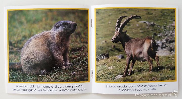 Libros de segunda mano: COLECCION WAPI. PRIMERAS IMAGENES. EDICIONES MILAN 1991. 5 LIBRITOS. - Foto 3
