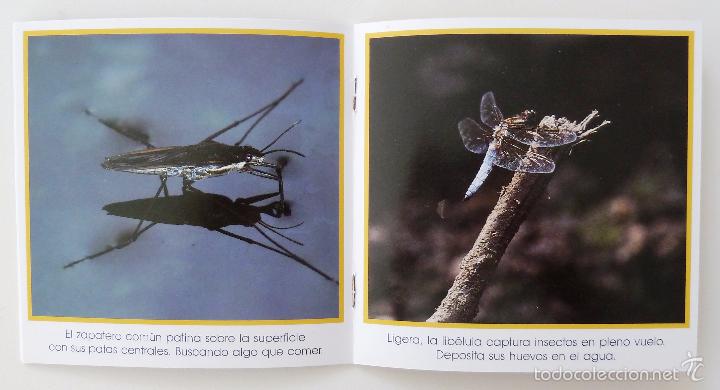 Libros de segunda mano: COLECCION WAPI. PRIMERAS IMAGENES. EDICIONES MILAN 1991. 5 LIBRITOS. - Foto 4