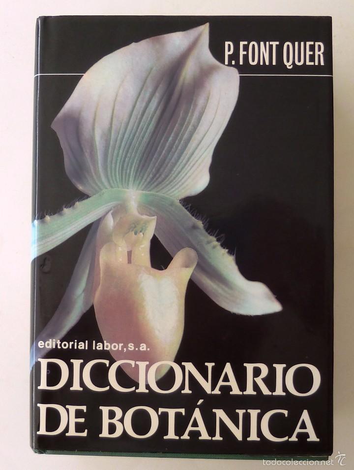 Diccionario De Botanica. Pio Font Quer. Editori - Vendido En Venta ...