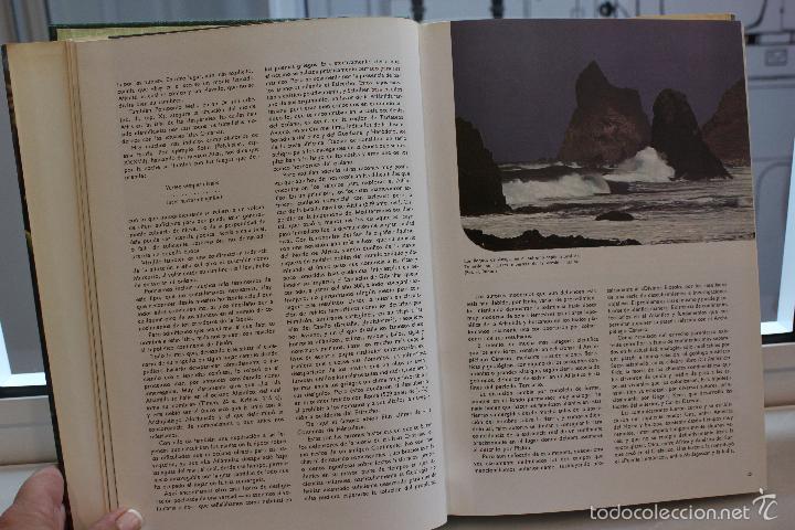Libros de segunda mano: ESTUDIO SOBRE LA VEGETACION Y FLORA FORESTAL DE LAS CANARIAS OCCIDENTALES.AÑO 1976.LUIS CEBALLOS - Foto 3 - 58346650