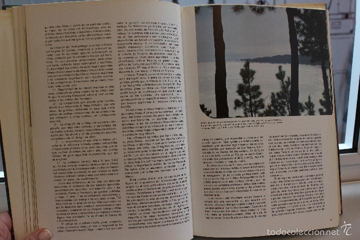 Libros de segunda mano: ESTUDIO SOBRE LA VEGETACION Y FLORA FORESTAL DE LAS CANARIAS OCCIDENTALES.AÑO 1976.LUIS CEBALLOS - Foto 4 - 58346650