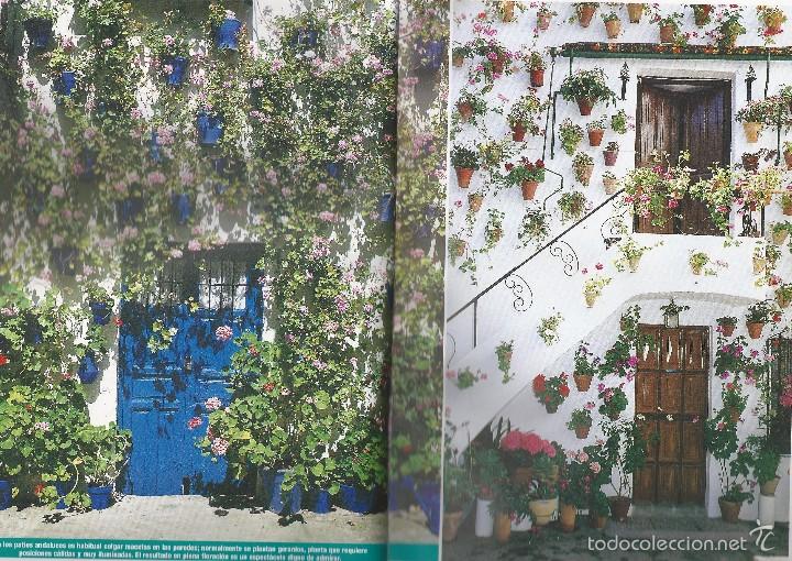 Libros de segunda mano: Plantas de balcones y terrazas - Foto 2