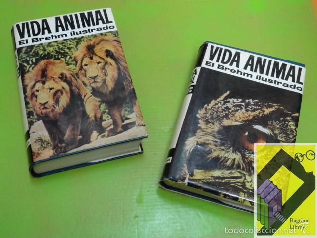 Livros em segunda m&atilde;o: BREHM, Alfred Edmund: Vida animal. El Brehm ilustrado (2 vols) (Trad:Antonio Tom&aacute;s/Manuel V&aacute;zquez)