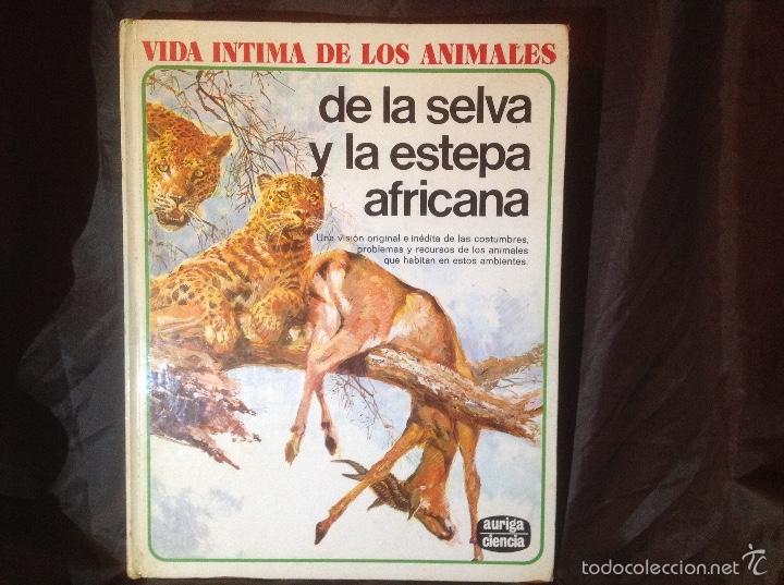 vida íntima de los animales número 18 de la sel - Comprar Libros de