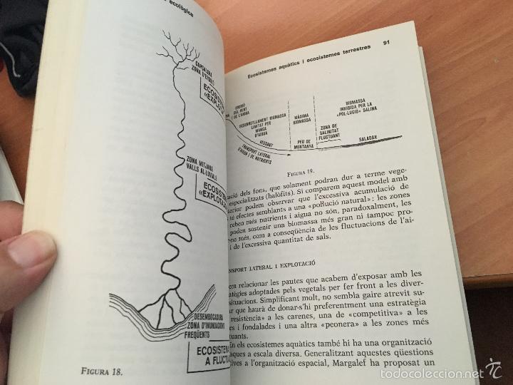 Libros de segunda mano: ECOLOGIA DAVUI. QUE CAL SABER (TERRADAS) CATALAN (LB31) - Foto 3