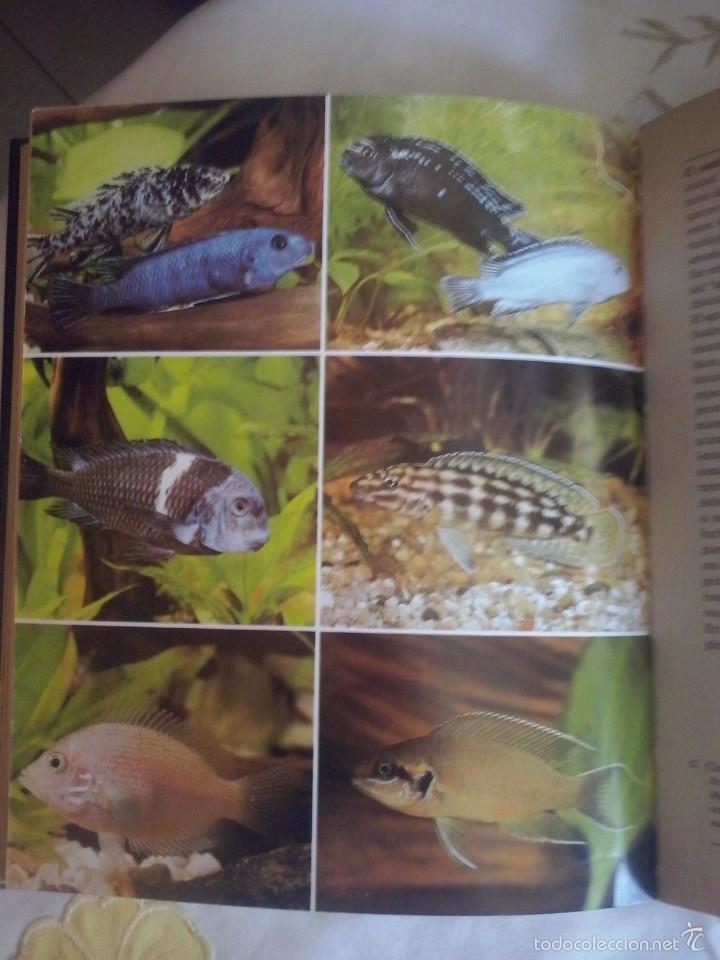 Libros de segunda mano: EL LIBRO DE LOS ACUARIOS -1988 - Foto 3