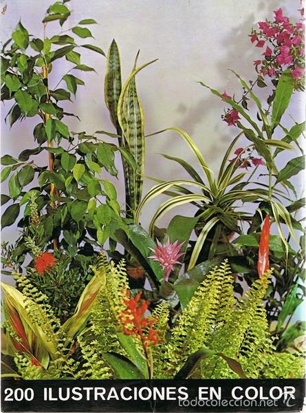 Libros de segunda mano: PLANTAS DE INTERIOR  G. KROMDIJK - Foto 2