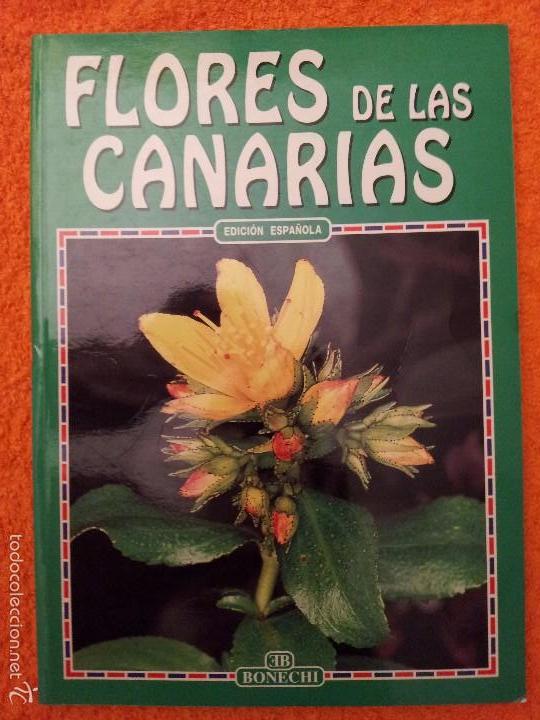 Libros de segunda mano: Flores de las Canarias - Foto 1