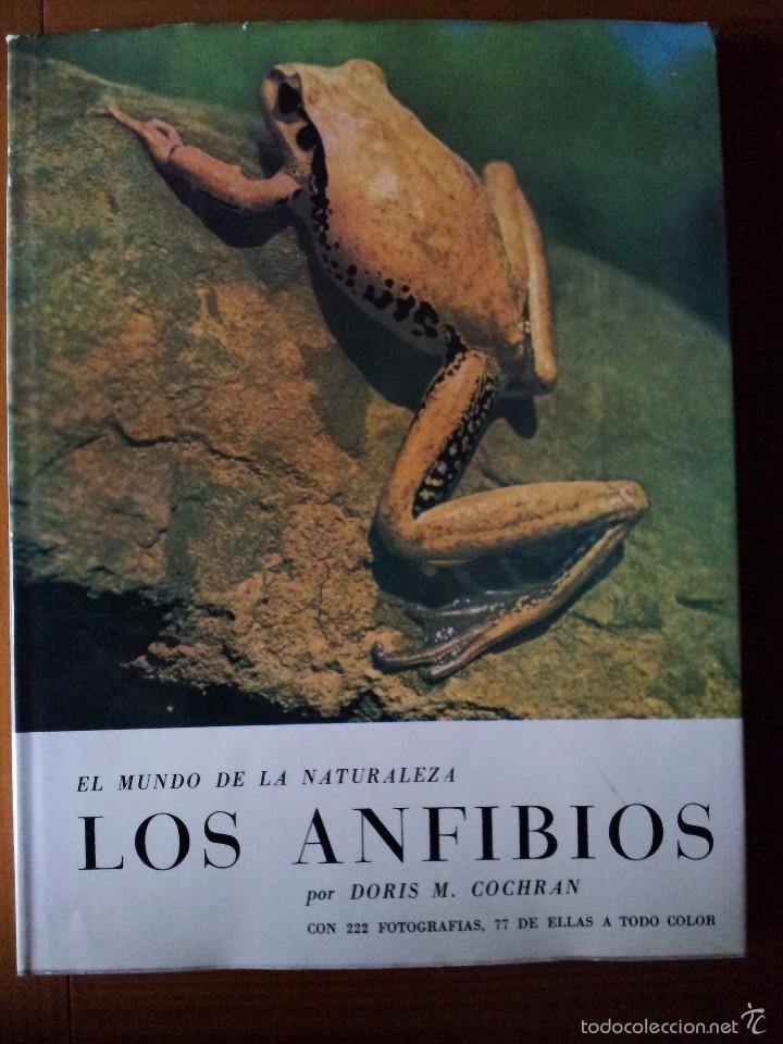 Libros de segunda mano: Los anfibios -- Doris M. Cochran - Foto 1