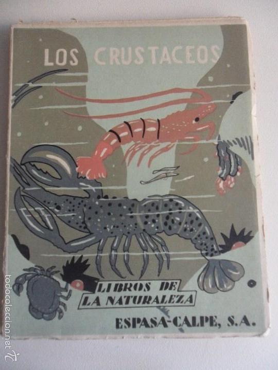 LOS CRUSTACEOS. LIBROS DE LA NATURALEZA. ESPASA-CALPE 1949. 93 PAGINAS. CON ILUSTRACIONES. 190 GRAMO (Libros de Segunda Mano - Ciencias, Manuales y Oficios - Biología y Botánica)