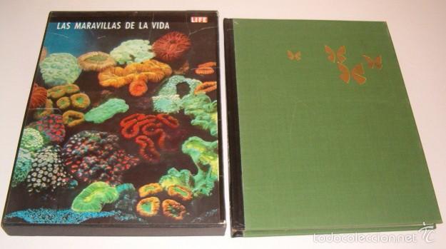 Libros de segunda mano: JEROME S. HARDY (DIR.). Las Maravillas de la Vida. RMT76327. - Foto 1