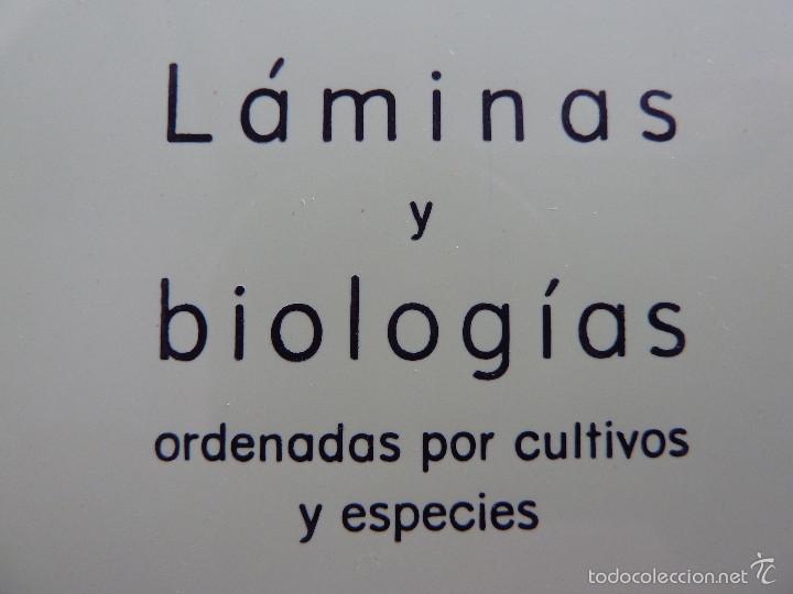 Libros de segunda mano: BAYER COMPENDIUM II - Foto 7