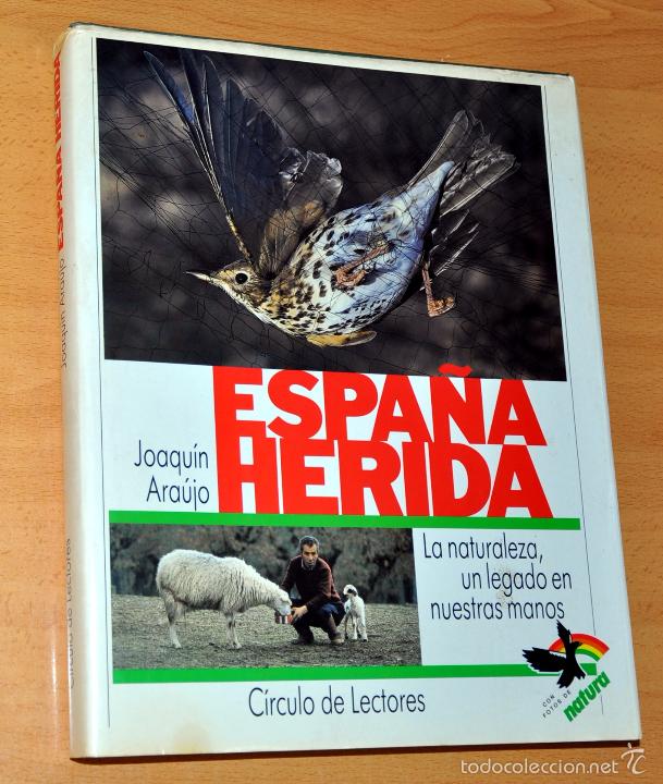 Libros de segunda mano: ESPA&Ntilde;A HERIDA - de JOAQU&Iacute;N ARA&Uacute;JO - C&Iacute;RCULO DE LECTORES - a&ntilde;o 1988 - Foto 1