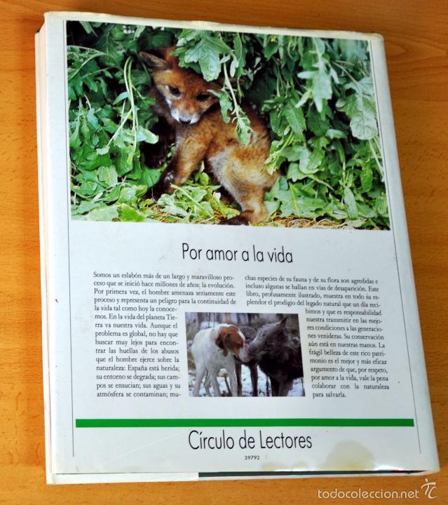 Libros de segunda mano: CONTRAPORTADA. - Foto 2