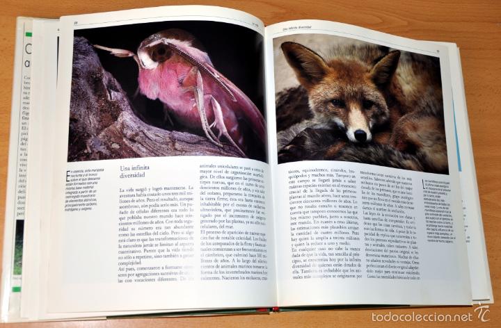 Libros de segunda mano: DETALLE 1. - Foto 3