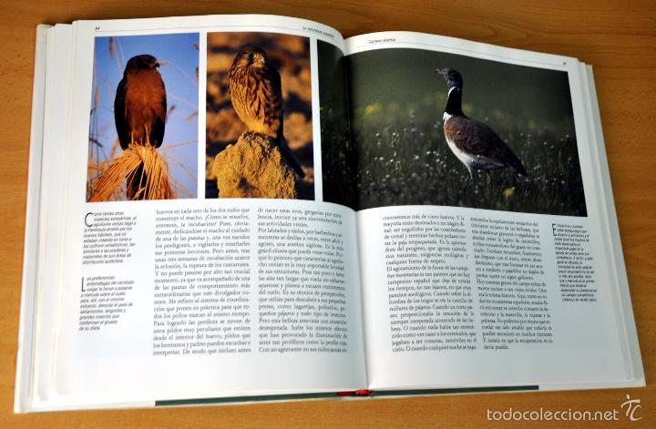 Libros de segunda mano: DETALLE 2. - Foto 4