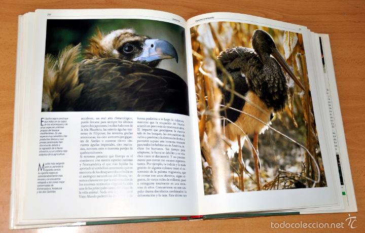 Libros de segunda mano: DETALLE 3. - Foto 5