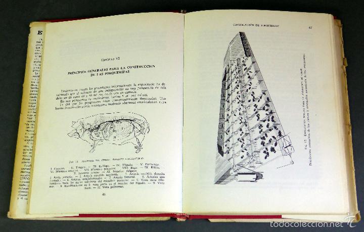 Libros de segunda mano: El cerdo Andr&eacute; Leroy Ediciones Gea 1968 - Foto 2