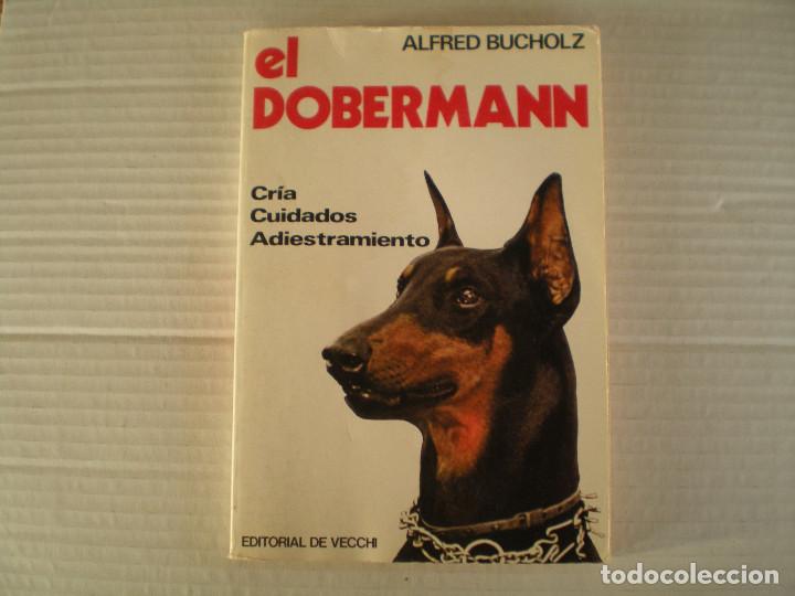 Libros de segunda mano: EL DOBERMAN - ALFRED BUCHOLZ - EDITORIAL VECCHI - Foto 1