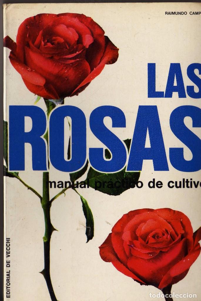 Libros de segunda mano: las rosas manual pr&aacute;ctico de cultivo . raimundo campos - Foto 1