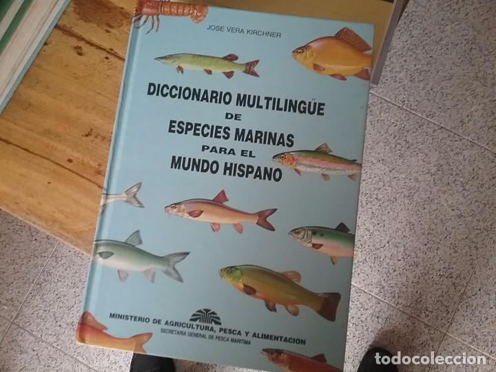 Libros de segunda mano: Diccionario multilingue de especies marinas para el mundo hispano - Foto 1