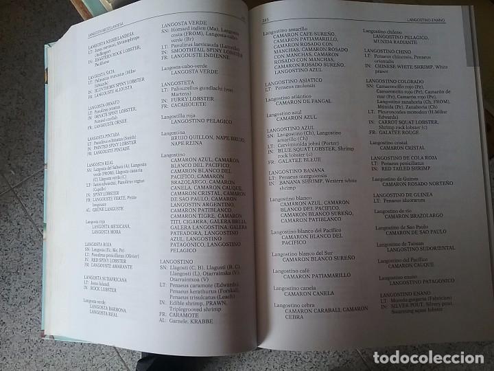 Libros de segunda mano: Diccionario multilingue de especies marinas para el mundo hispano - Foto 2