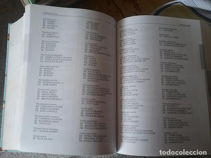 Libros de segunda mano: Diccionario multilingue de especies marinas para el mundo hispano - Foto 3