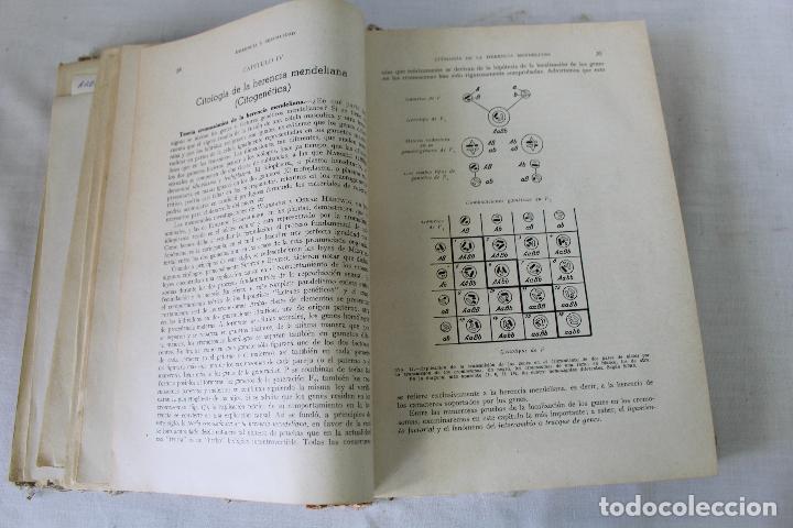 Libros de segunda mano: biologia general - profesor dr.s.alvarado 1955 - Foto 2