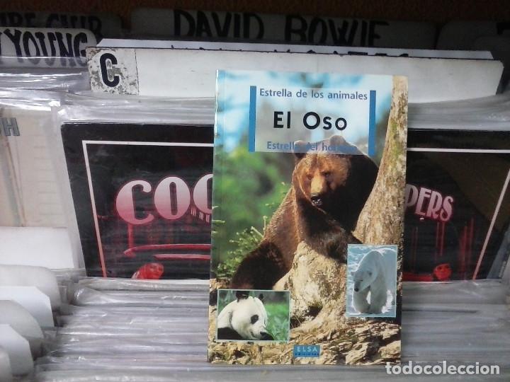 Libros de segunda mano: el oso,elsa ediciones - Foto 1
