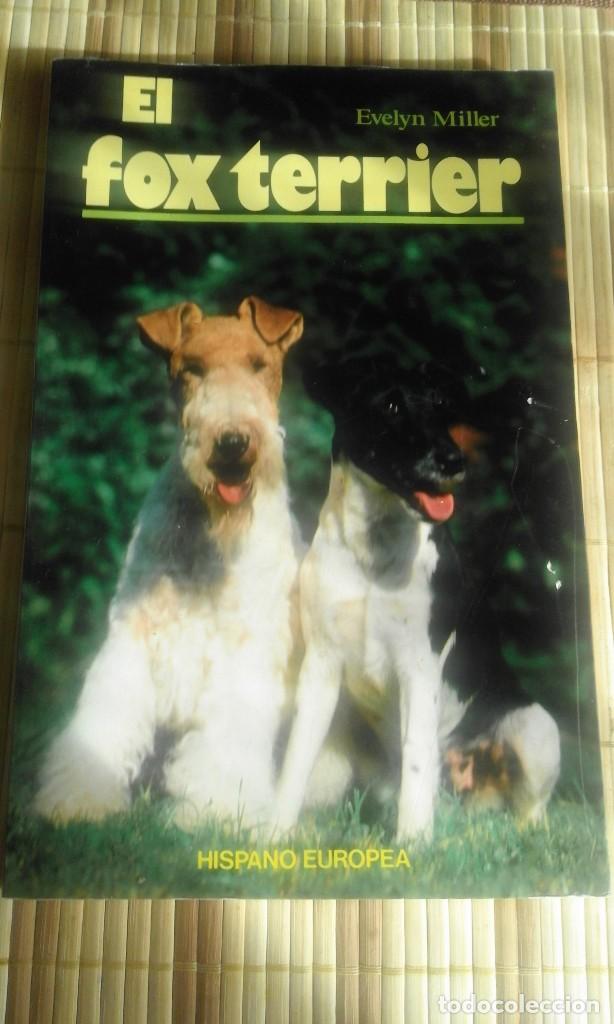 Libros de segunda mano: El fox terrier - Evelyn Miller - Foto 1