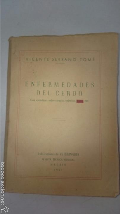 Libros de segunda mano: Enfermedades del Cerdo - Foto 1
