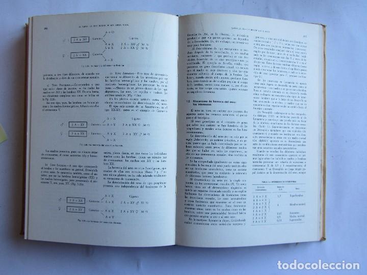 Libros de segunda mano: ELEMENTOS DE BIOLOGIA Jose Planas Mestres - Foto 4