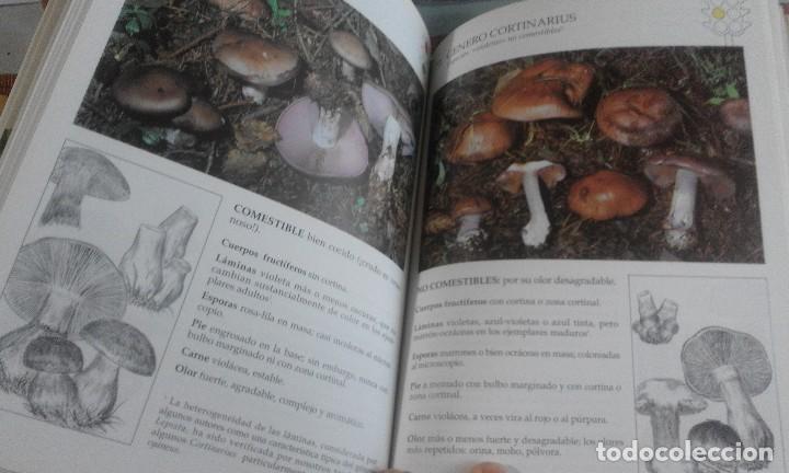 Libros de segunda mano: El libro de como reconocer las setas - Riccardo Mazza - Foto 3