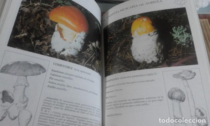 Libros de segunda mano: El libro de como reconocer las setas - Riccardo Mazza - Foto 4