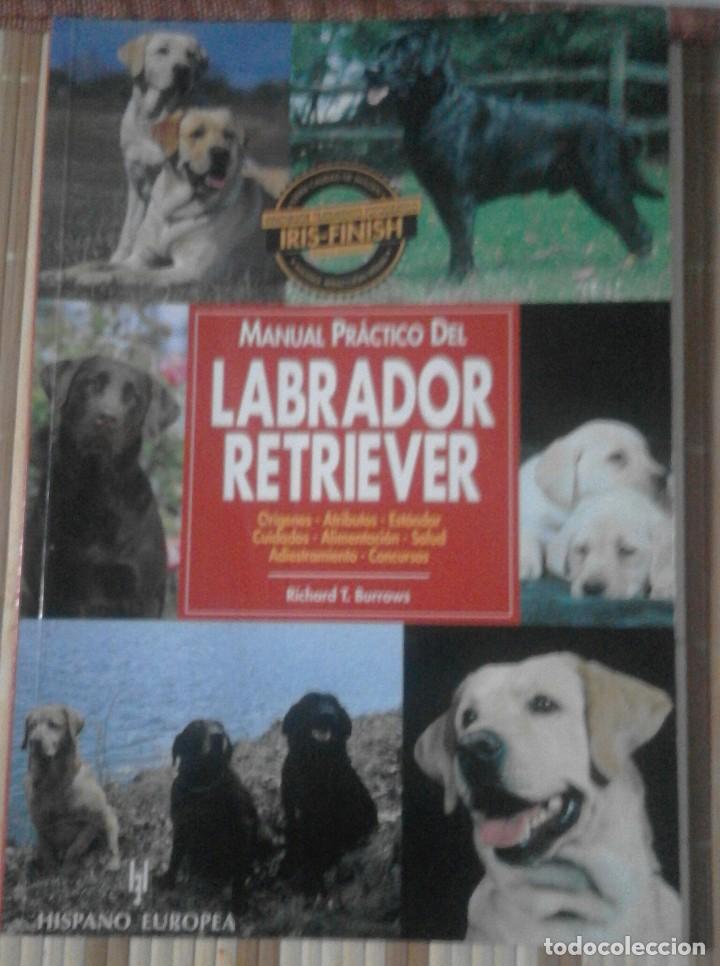 Libros de segunda mano: Manual Pr&aacute;ctico del Labrador Retriever - Richard T. Burrows - Foto 1