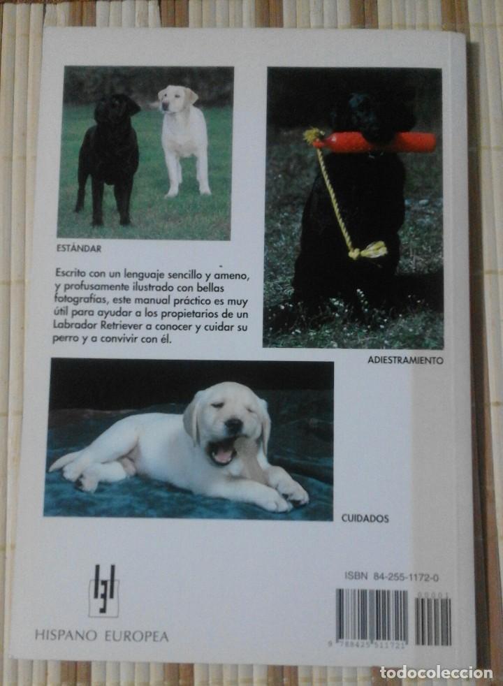 Libros de segunda mano: Manual Pr&aacute;ctico del Labrador Retriever - Richard T. Burrows - Foto 2